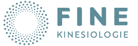 FINE Kinesiologie - Bad Waldsee
